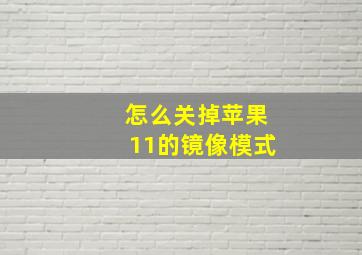 怎么关掉苹果11的镜像模式