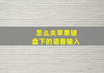 怎么关苹果键盘下的语音输入