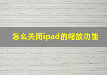 怎么关闭ipad的缩放功能