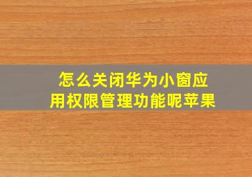 怎么关闭华为小窗应用权限管理功能呢苹果