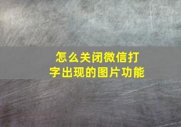 怎么关闭微信打字出现的图片功能