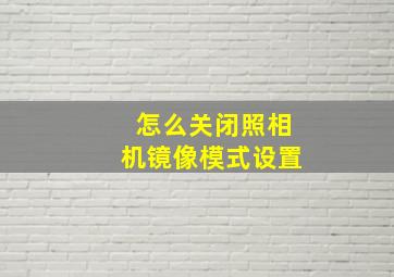 怎么关闭照相机镜像模式设置