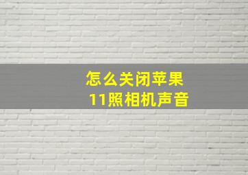 怎么关闭苹果11照相机声音