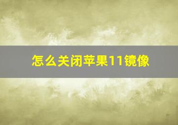 怎么关闭苹果11镜像