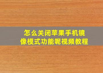 怎么关闭苹果手机镜像模式功能呢视频教程