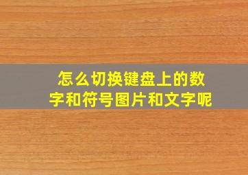 怎么切换键盘上的数字和符号图片和文字呢