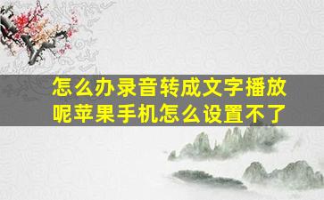 怎么办录音转成文字播放呢苹果手机怎么设置不了