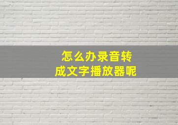 怎么办录音转成文字播放器呢