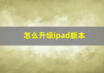 怎么升级ipad版本