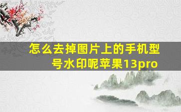 怎么去掉图片上的手机型号水印呢苹果13pro