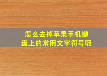 怎么去掉苹果手机键盘上的常用文字符号呢