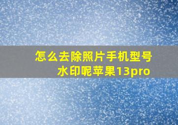 怎么去除照片手机型号水印呢苹果13pro