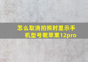 怎么取消拍照时显示手机型号呢苹果12pro