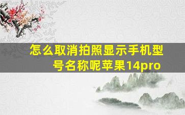 怎么取消拍照显示手机型号名称呢苹果14pro