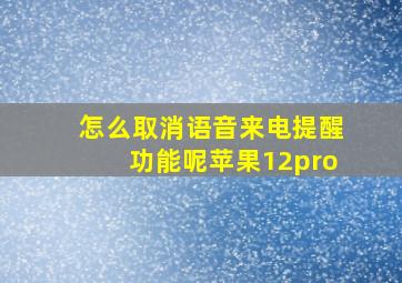 怎么取消语音来电提醒功能呢苹果12pro