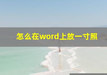 怎么在word上放一寸照