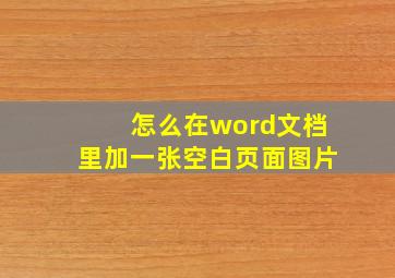 怎么在word文档里加一张空白页面图片