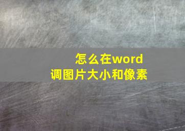 怎么在word调图片大小和像素