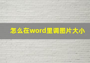 怎么在word里调图片大小