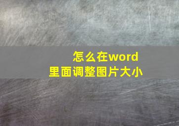 怎么在word里面调整图片大小