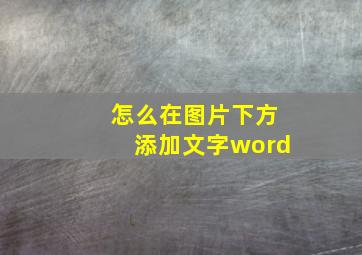 怎么在图片下方添加文字word