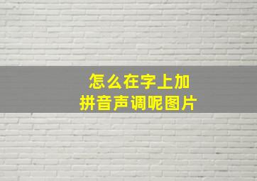 怎么在字上加拼音声调呢图片