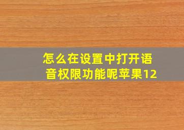 怎么在设置中打开语音权限功能呢苹果12