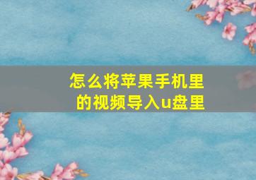 怎么将苹果手机里的视频导入u盘里