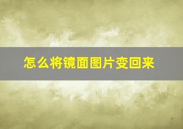 怎么将镜面图片变回来