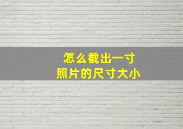 怎么截出一寸照片的尺寸大小