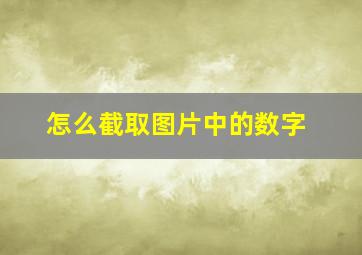 怎么截取图片中的数字