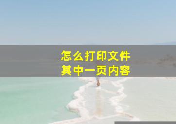 怎么打印文件其中一页内容