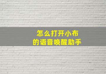 怎么打开小布的语音唤醒助手