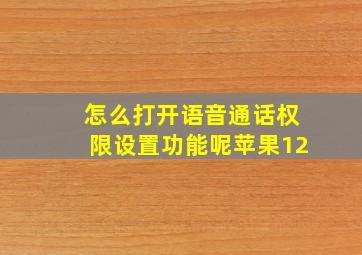 怎么打开语音通话权限设置功能呢苹果12