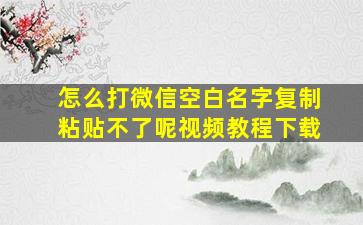 怎么打微信空白名字复制粘贴不了呢视频教程下载