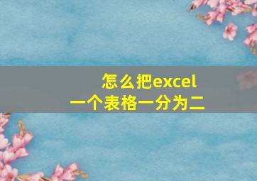 怎么把excel一个表格一分为二