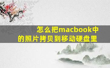 怎么把macbook中的照片拷贝到移动硬盘里