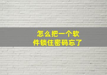 怎么把一个软件锁住密码忘了