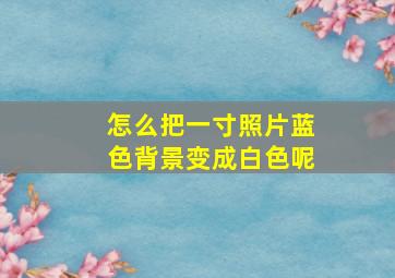 怎么把一寸照片蓝色背景变成白色呢