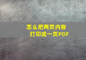 怎么把两页内容打印成一页PDF