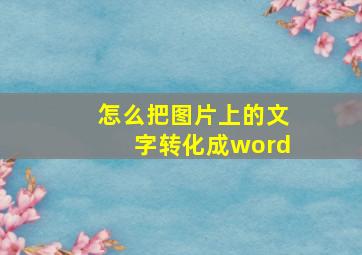 怎么把图片上的文字转化成word