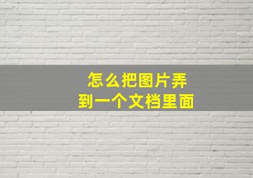 怎么把图片弄到一个文档里面