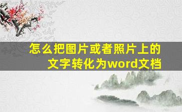 怎么把图片或者照片上的文字转化为word文档