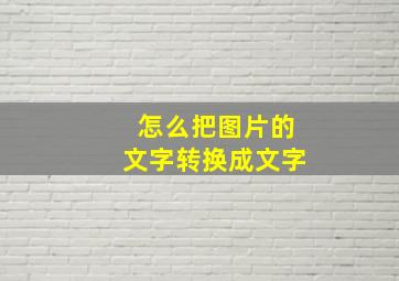 怎么把图片的文字转换成文字