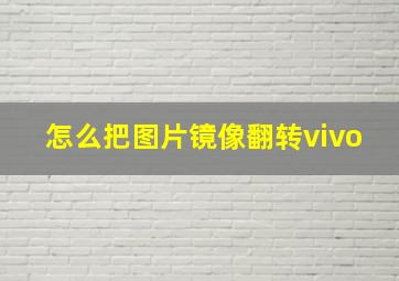 怎么把图片镜像翻转vivo