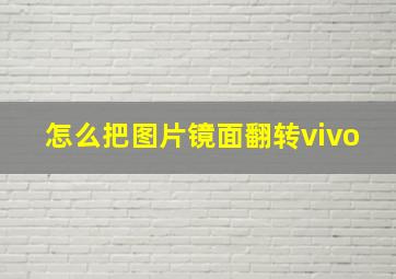 怎么把图片镜面翻转vivo