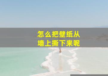 怎么把壁纸从墙上撕下来呢