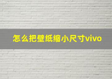 怎么把壁纸缩小尺寸vivo