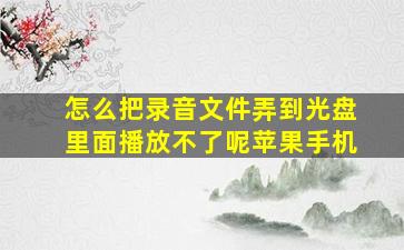 怎么把录音文件弄到光盘里面播放不了呢苹果手机