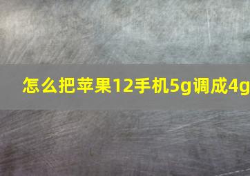 怎么把苹果12手机5g调成4g